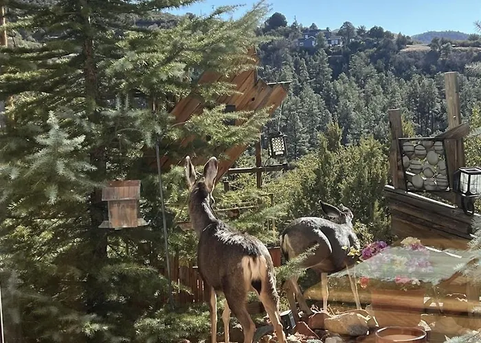 Apartment Casa Bella Vista -hot Tub -amazing Views -fire Pit